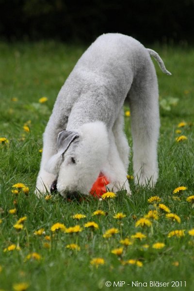 2011-04-23 Quincy etc (48).jpg